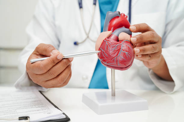 Cardiology Division