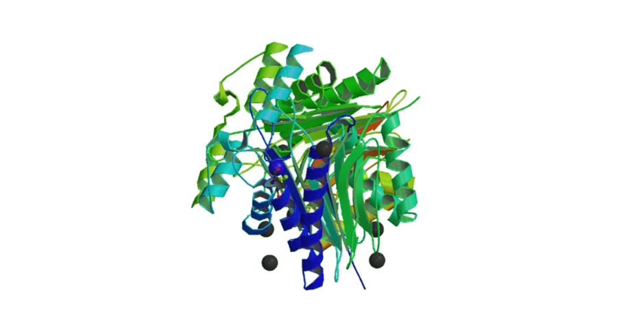 Peg L‑Asparaginase