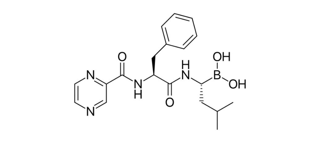 Bortezomib